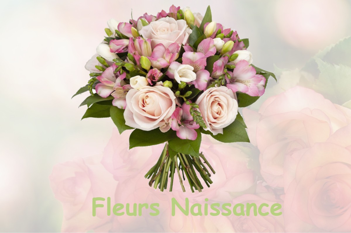 fleurs naissance LE-MESNIL-BENOIST