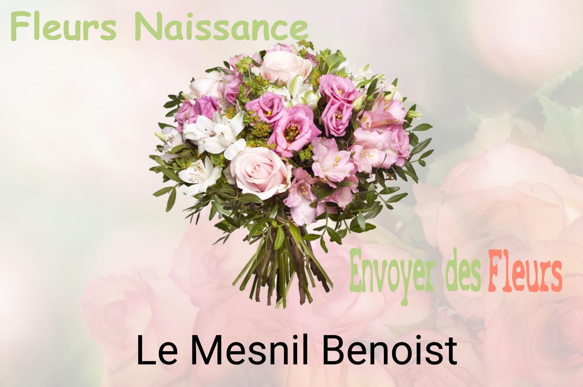 Bouquet de fleurs de naissance livré à Le Mesnil-Benoist